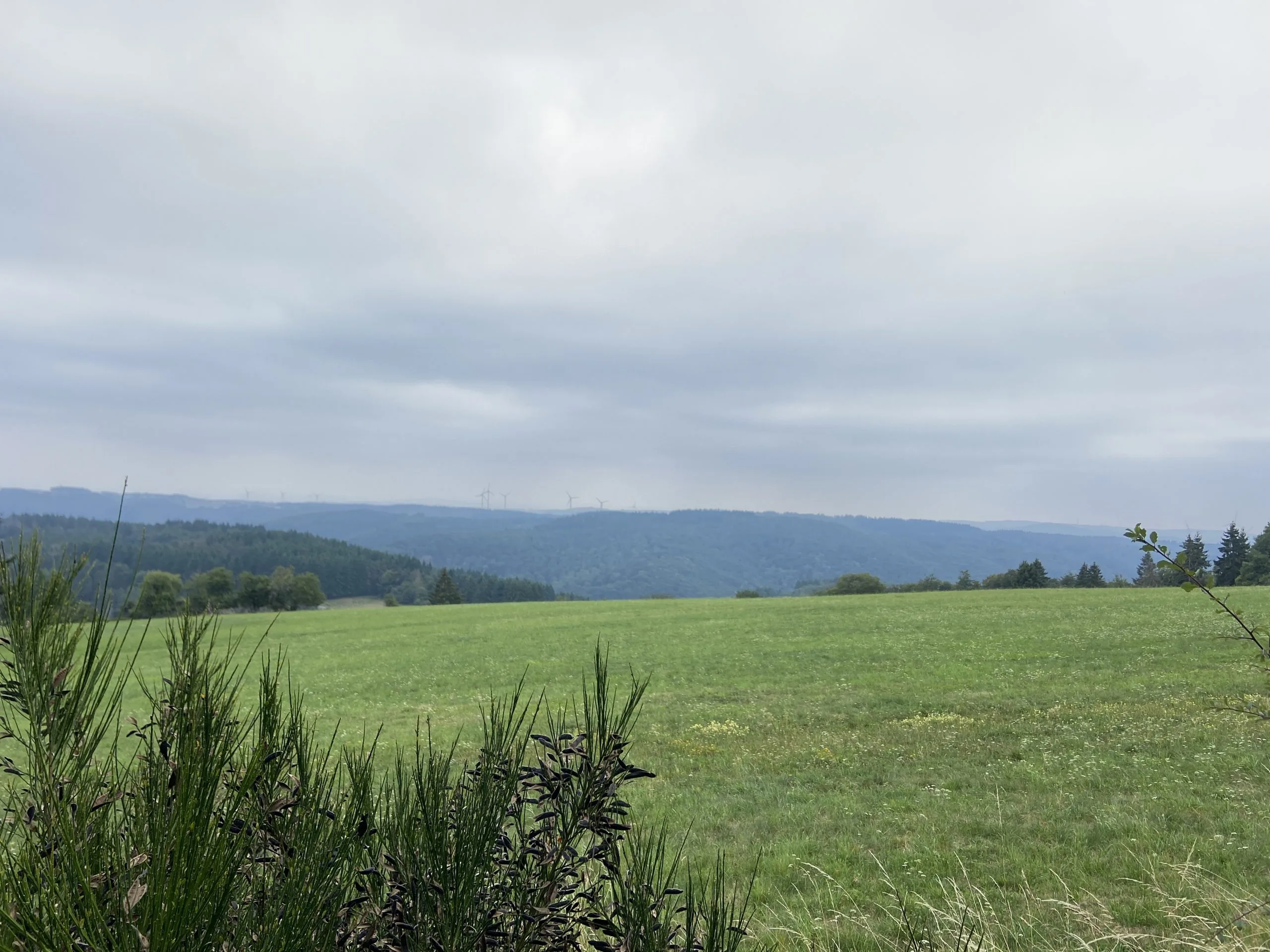 Aktuell – Langenfeld Bild 6